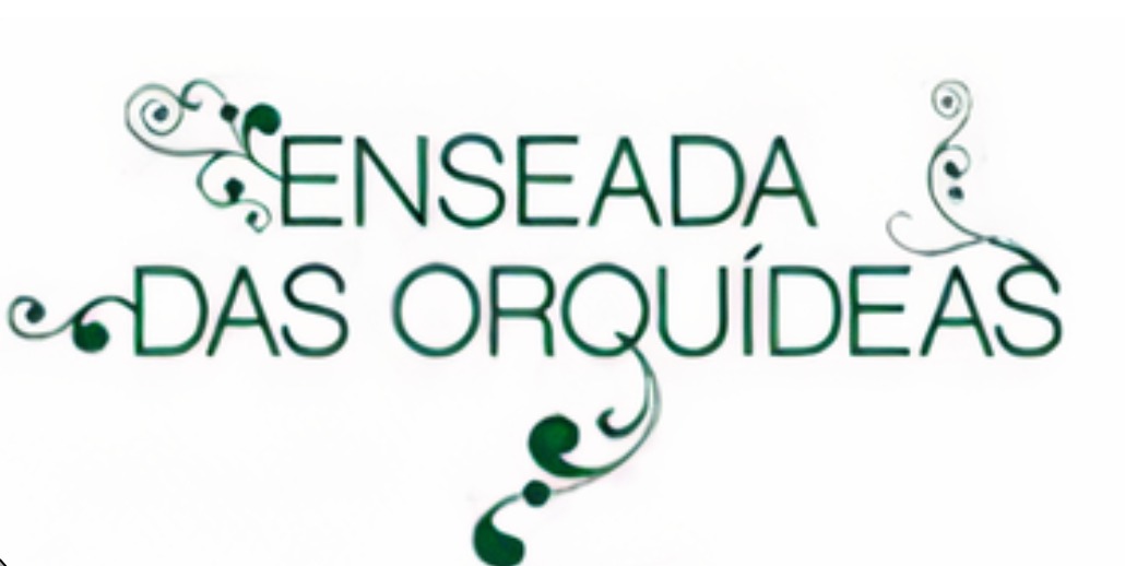 enseada-logo